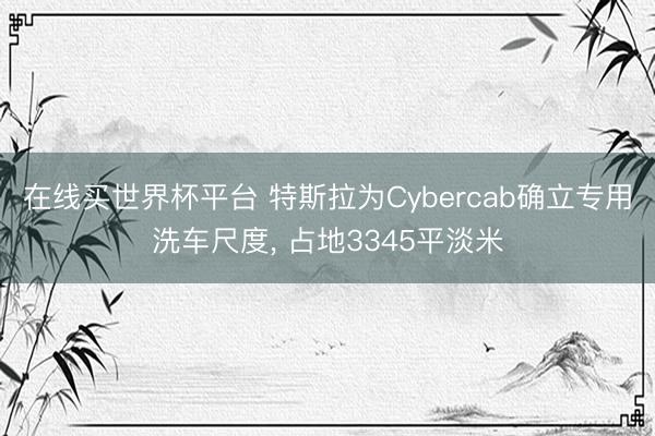 在线买世界杯平台 特斯拉为Cybercab确立专用洗车尺度， 占地3345平淡米