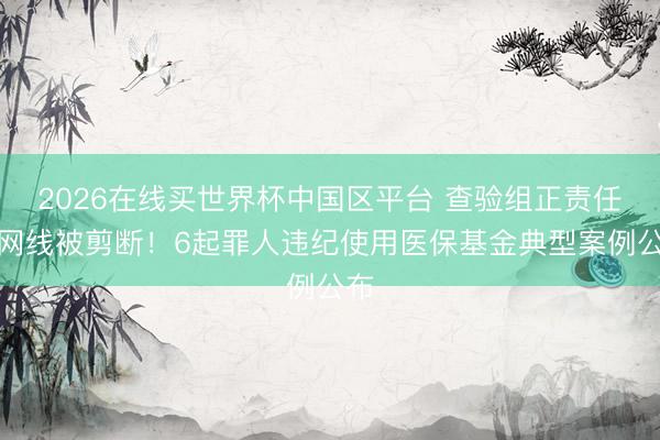 2026在线买世界杯中国区平台 查验组正责任，网线被剪断！6起罪人违纪使用医保基金典型案例公布