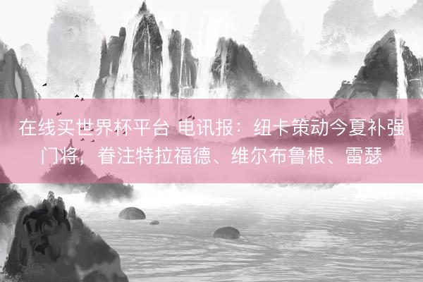 在线买世界杯平台 电讯报：纽卡策动今夏补强门将，眷注特拉福德、维尔布鲁根、雷瑟