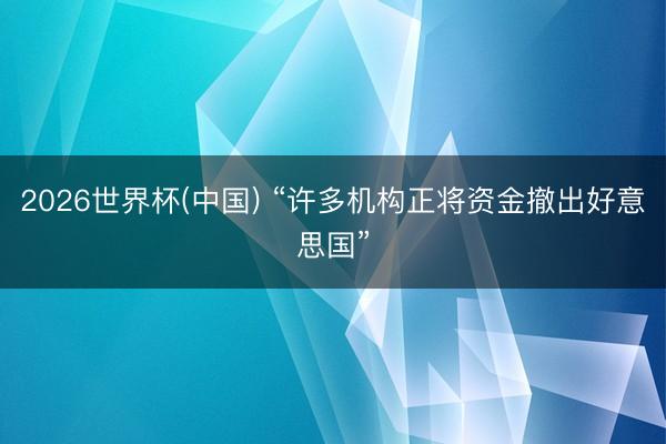 2026世界杯(中国) “许多机构正将资金撤出好意思国”
