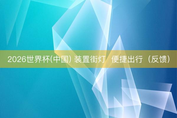 2026世界杯(中国) 装置街灯  便捷出行（反馈）