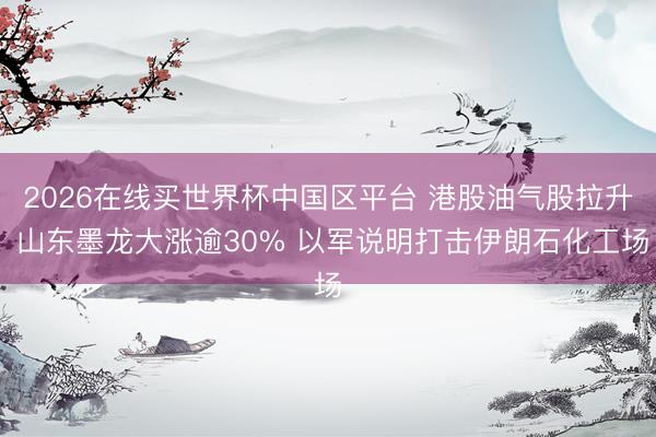 2026在线买世界杯中国区平台 港股油气股拉升 山东墨龙大涨逾30% 以军说明打击伊朗石化工场