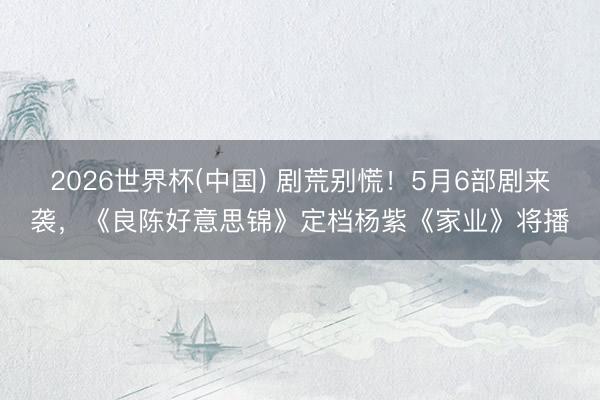 2026世界杯(中国) 剧荒别慌！5月6部剧来袭，《良陈好意思锦》定档杨紫《家业》将播