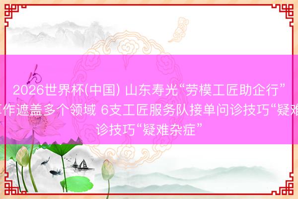 2026世界杯(中国) 山东寿光“劳模工匠助企行”专项算作遮盖多个领域 6支工匠服务队接单问诊技巧“疑难杂症”